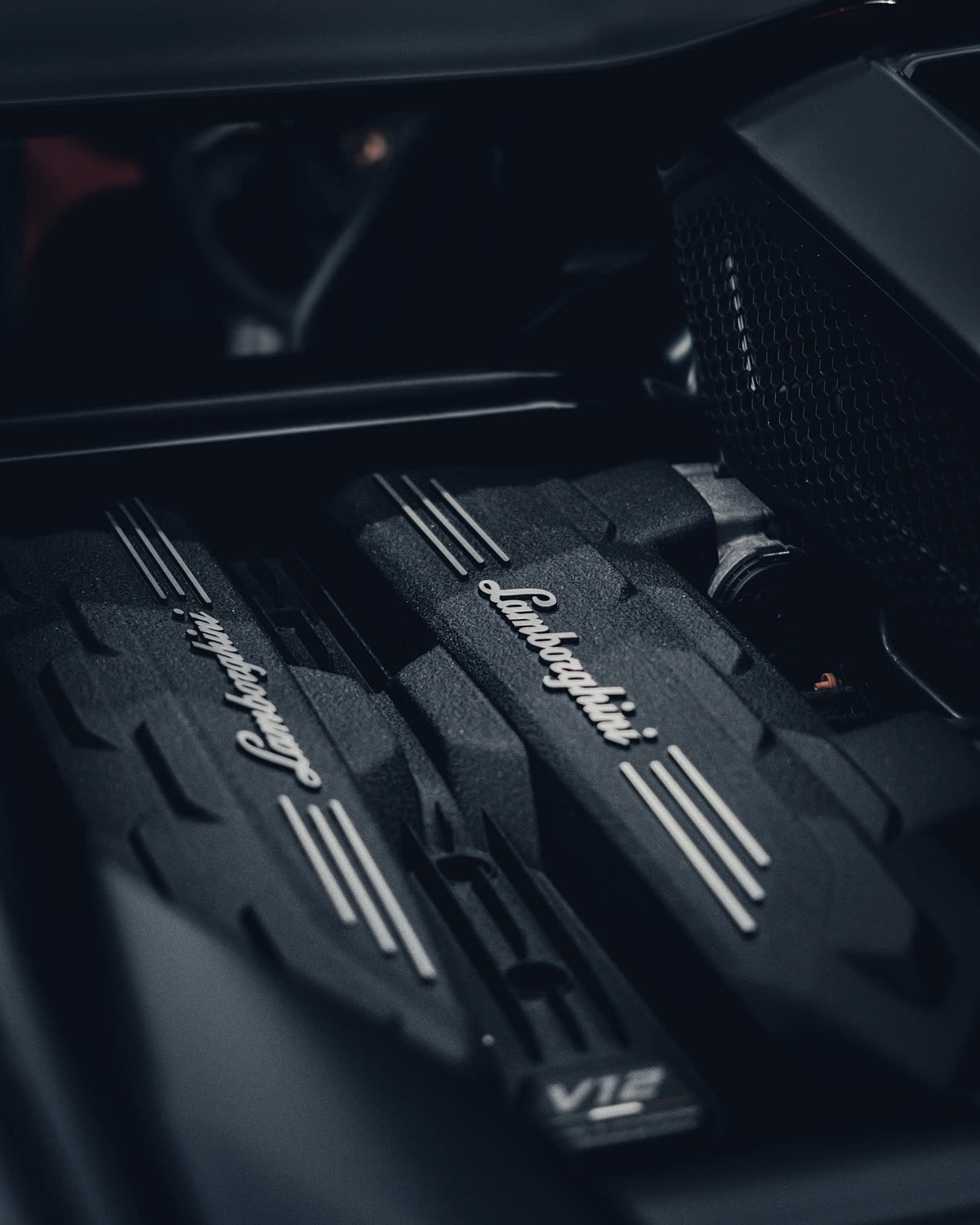 Naturally aspirated V12 engine bay